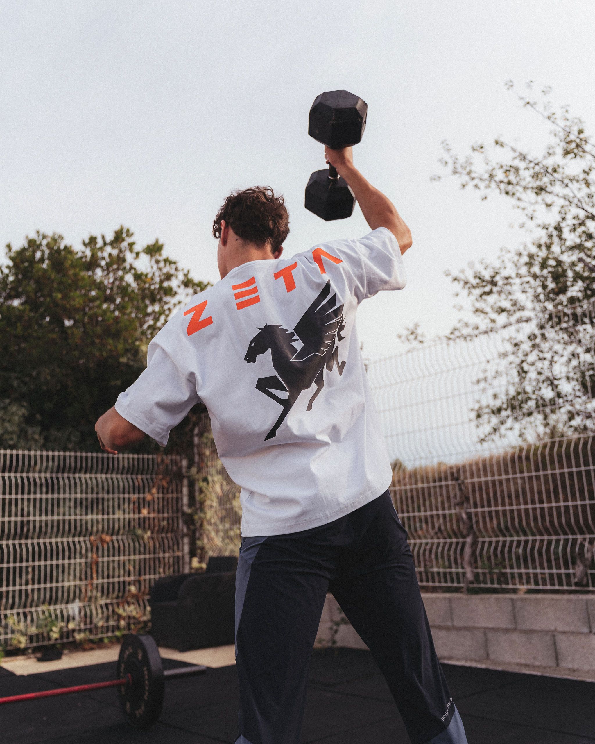 Oversize Heavy T-Shirt White Pegasus Shield