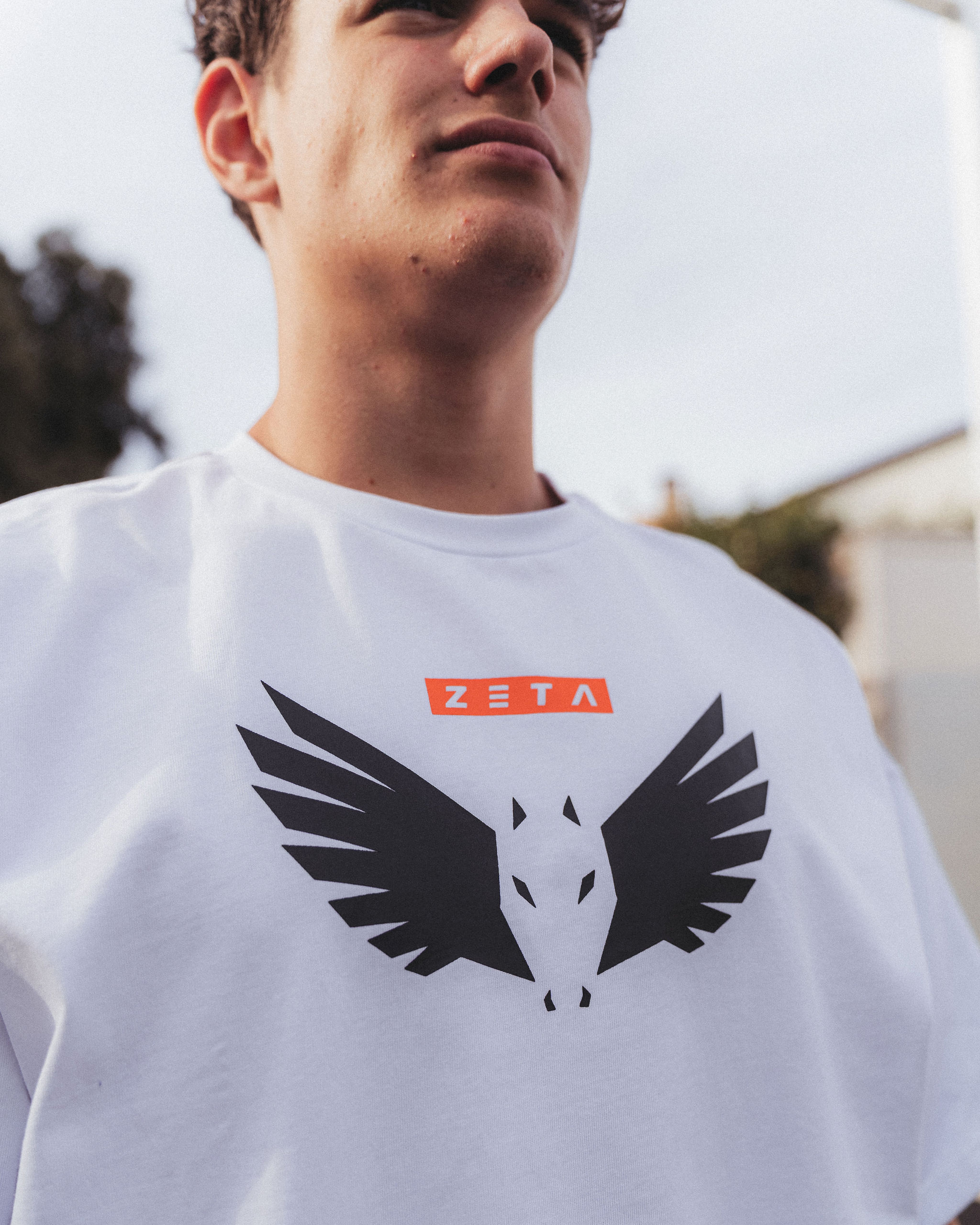 Oversize Heavy T-Shirt White Pegasus Shield