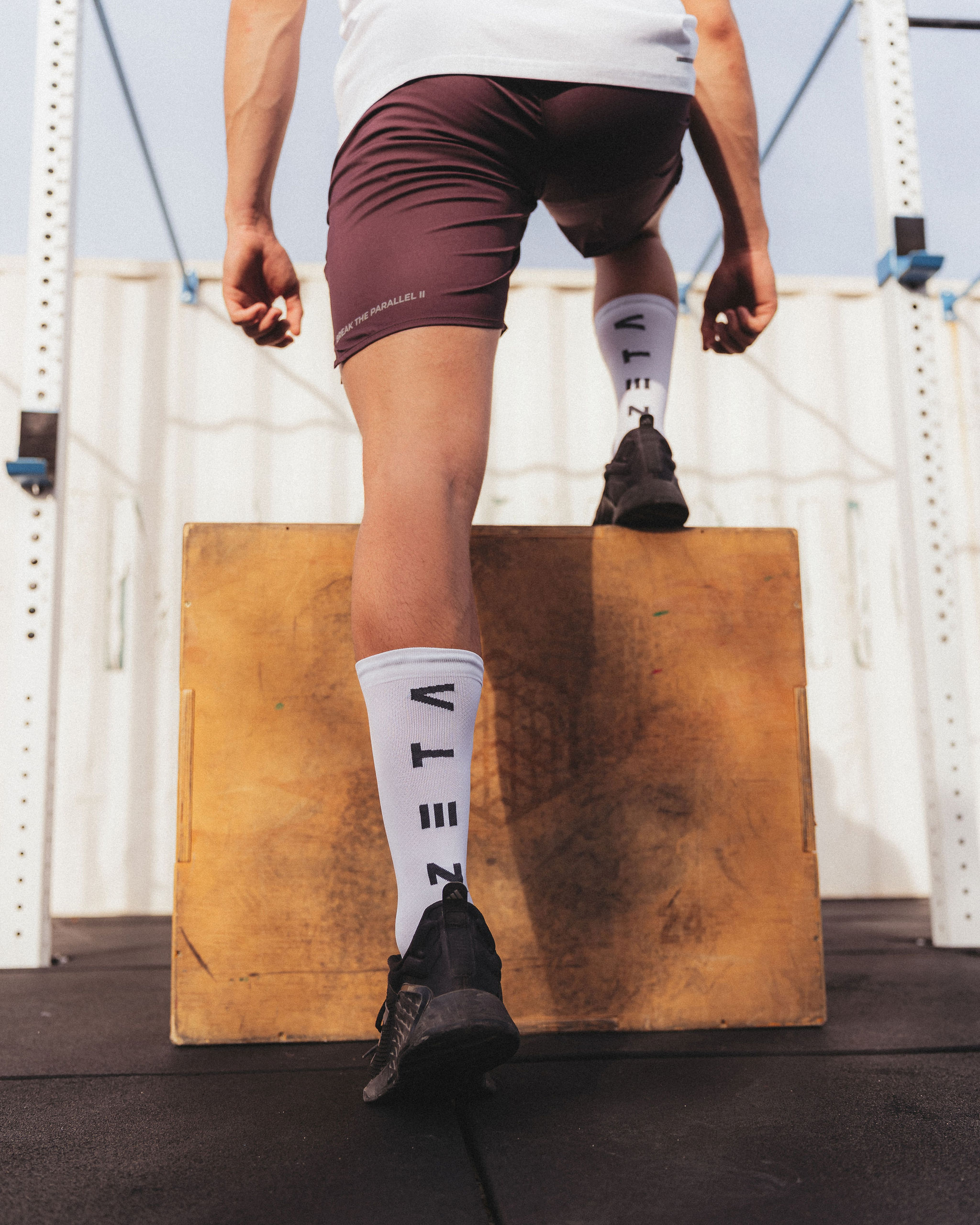 Elite Socks Quake Pegasus